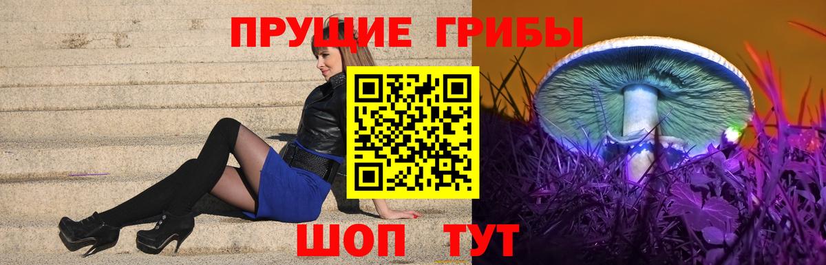 Галлюциногенные грибы Psilocybe  Вход с VPN  Мариинск 